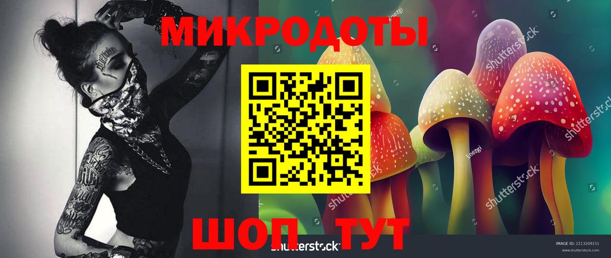 Галлюциногенные грибы Cubensis  Вход с VPN  Пушкино 