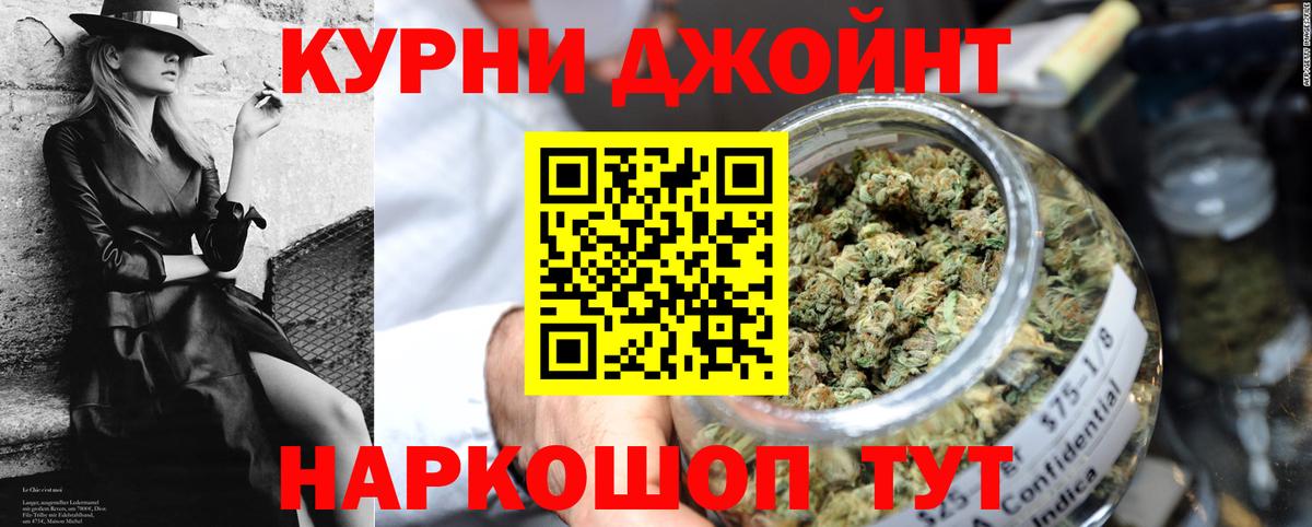 Псилоцибиновые грибы Пушкино